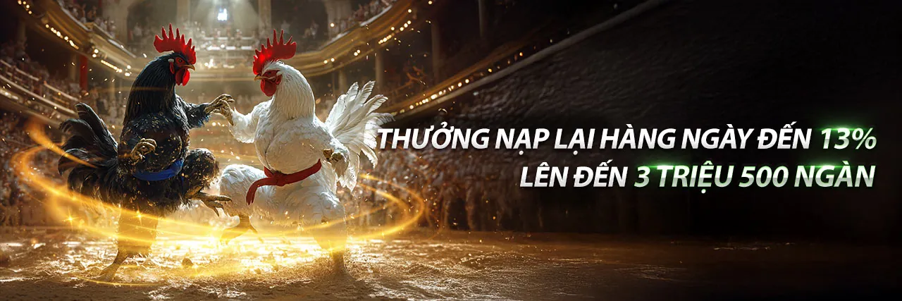 Đá Gà Trực Tuyến 79clup